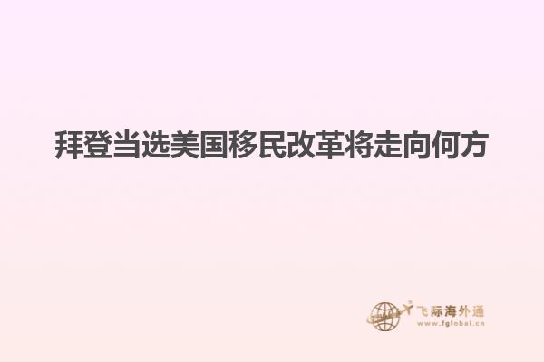 拜登当选美国移民改革将走向何方