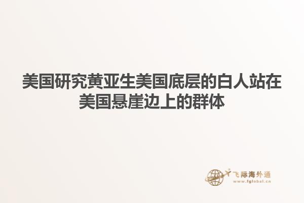 美国研究黄亚生美国底层的白人站在美国悬崖边上的群体