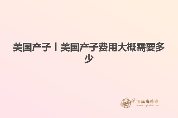 美国产子丨美国产子费用大概需要多少