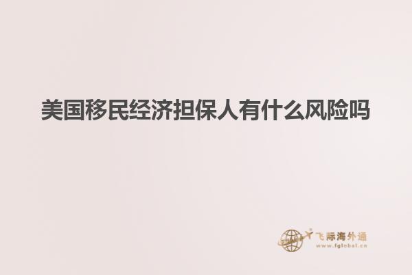 美国移民经济担保人有什么风险吗知乎