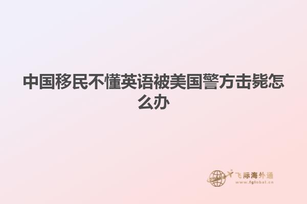 中国移民不懂英语被美国警方击毙怎么办