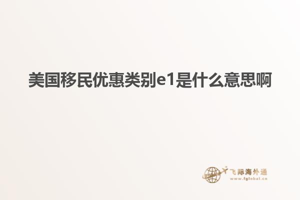 美国移民优惠类别e1是什么意思啊