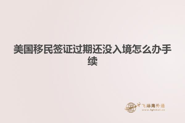 美国移民签证过期还没入境怎么办手续