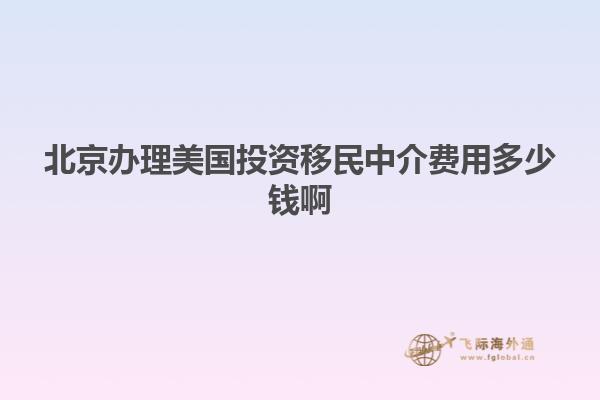 北京办理美国投资移民中介费用多少钱啊