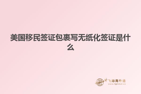 美国移民签证包裹写无纸化签证是什么