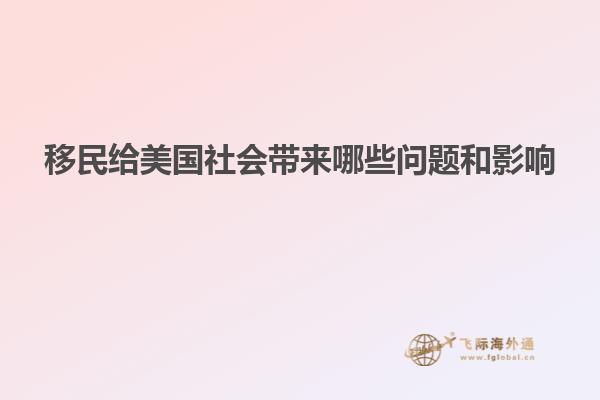 移民给美国社会带来哪些问题和影响