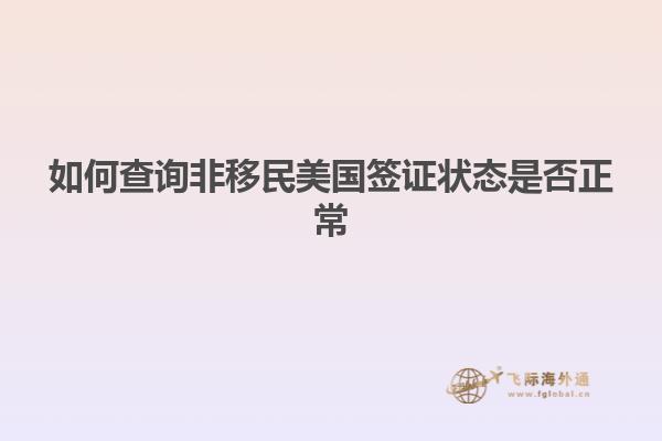 如何查询非移民美国签证状态是否正常