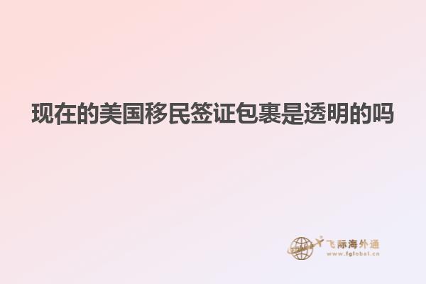 现在的美国移民签证包裹是透明的吗