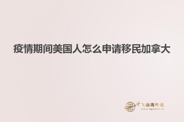 疫情期间美国人怎么申请移民加拿大