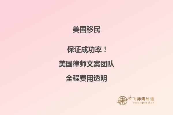 美国是否有引进特殊人才移民政策的影响