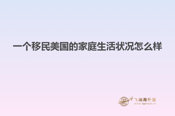 一个移民美国的家庭生活状况怎么样