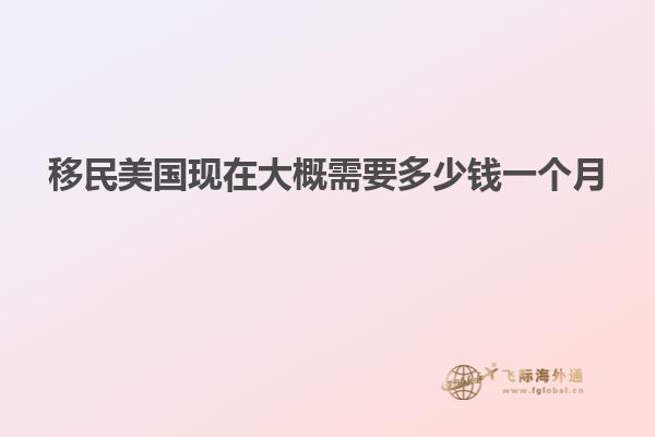 移民美国现在大概需要多少钱一个月