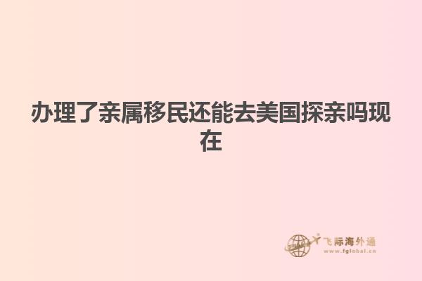 办理了亲属移民还能去美国探亲吗现在