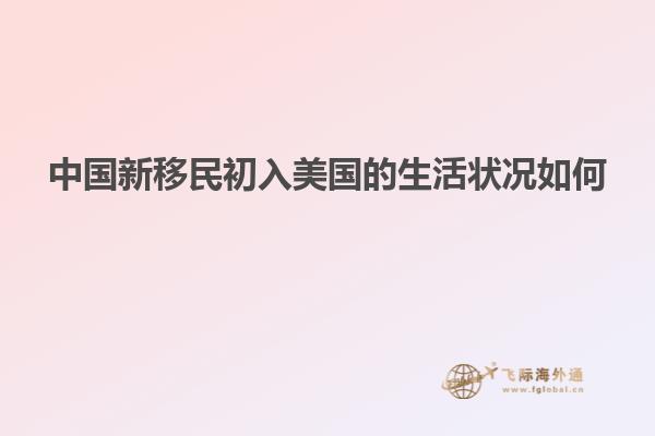 中国新移民初入美国的生活状况如何