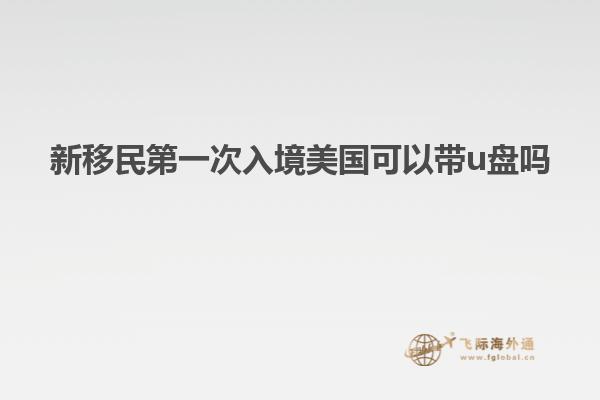 新移民第一次入境美国可以带u盘吗