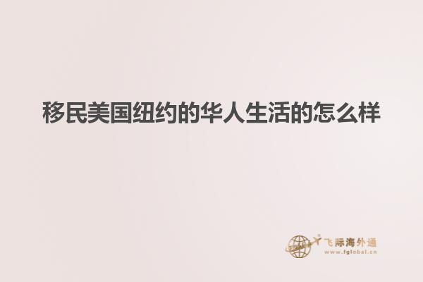 移民美国纽约的华人生活的怎么样