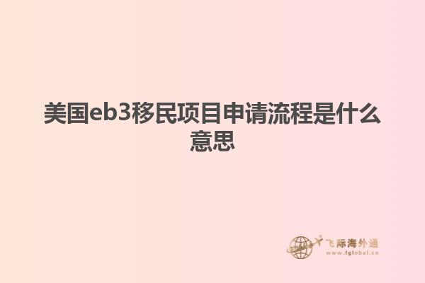 美国eb3移民项目申请流程是什么意思
