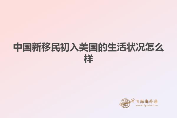 中国新移民初入美国的生活状况怎么样