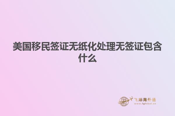 美国移民签证无纸化处理无签证包含什么
