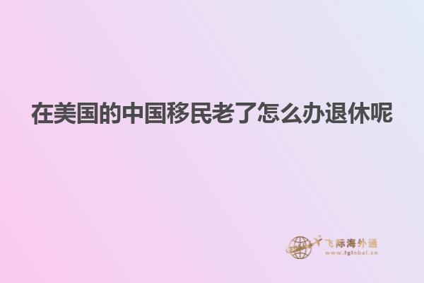 在美国的中国移民老了怎么办退休呢