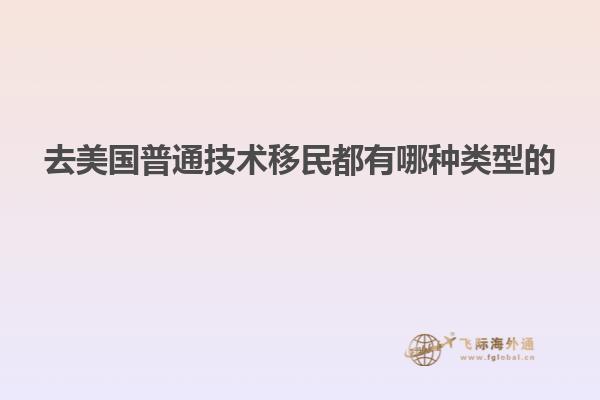 去美国普通技术移民都有哪种类型的