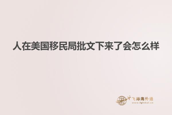 人在美国移民局批文下来了会怎么样