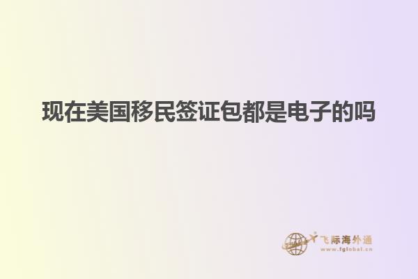 现在美国移民签证包都是电子的吗