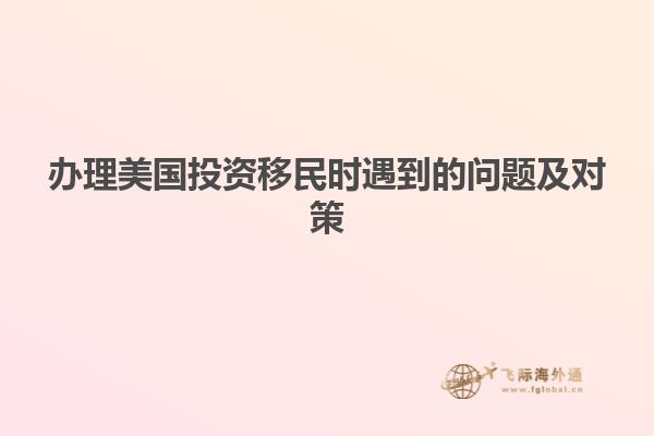 办理美国投资移民时遇到的问题及对策