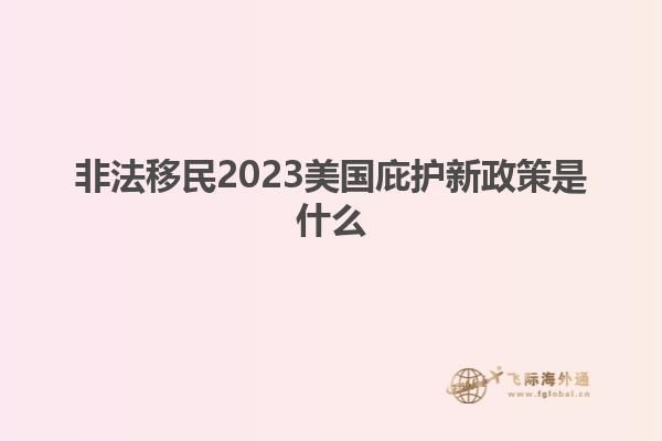 非法移民2023美国庇护新政策是什么
