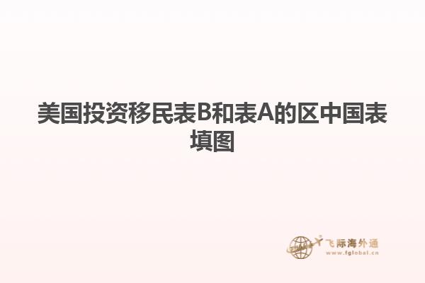 美国投资移民表B和表A的区中国表填图