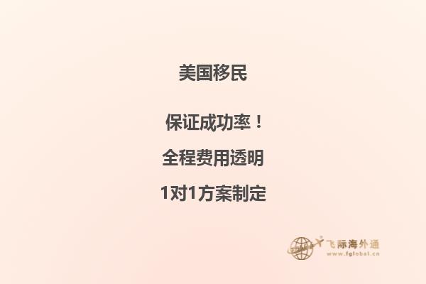 美国投资移民表B和表A的区中国表填图