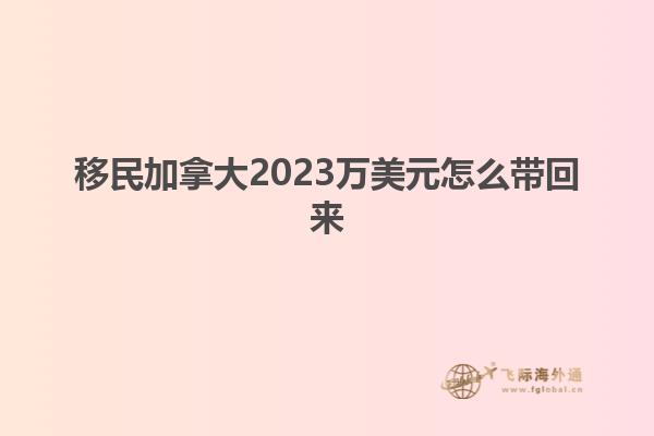 移民加拿大2023万美元怎么带回来