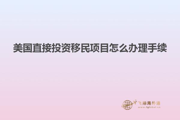 美国直接投资移民项目怎么办理手续