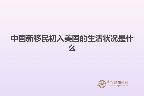 中国新移民初入美国的生活状况是什么