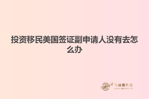投资移民美国签证副申请人没有去怎么办