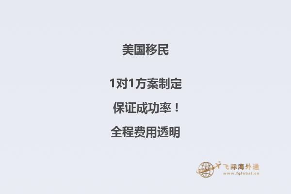 美国投资移民国外的无犯罪证明怎么开