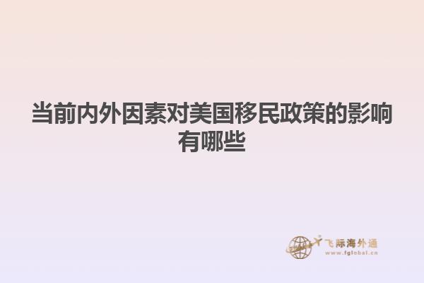 当前内外因素对美国移民政策的影响有哪些