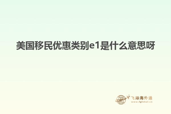 美国移民优惠类别e1是什么意思呀