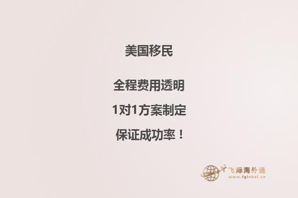 美国移民优惠类别e1是什么意思呀