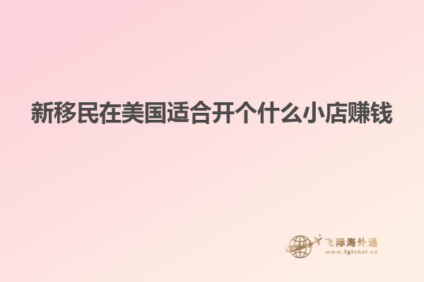 新移民在美国适合开个什么小店赚钱