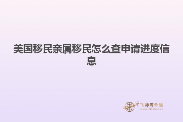 美国移民亲属移民怎么查申请进度信息