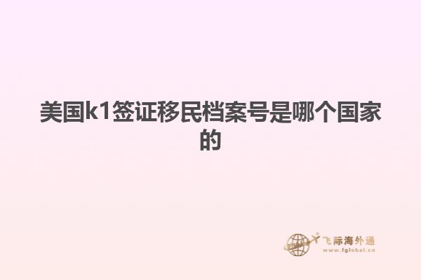 美国k1签证移民档案号是哪个国家的