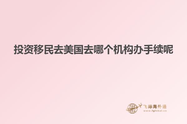 投资移民去美国去哪个机构办手续呢