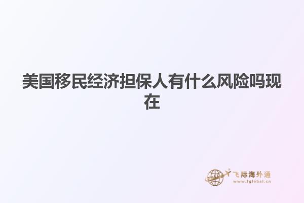 美国移民经济担保人有什么风险吗现在