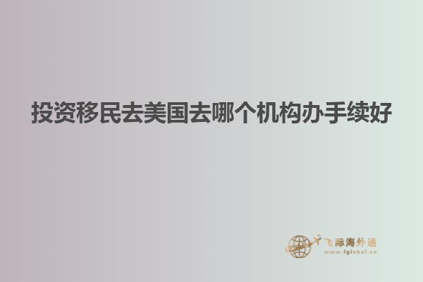 投资移民去美国去哪个机构办手续好