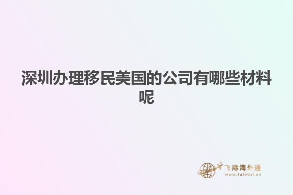 深圳办理移民美国的公司有哪些材料呢
