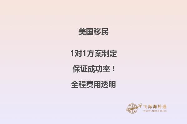 美国移民签证无纸化处理无签证包括什么