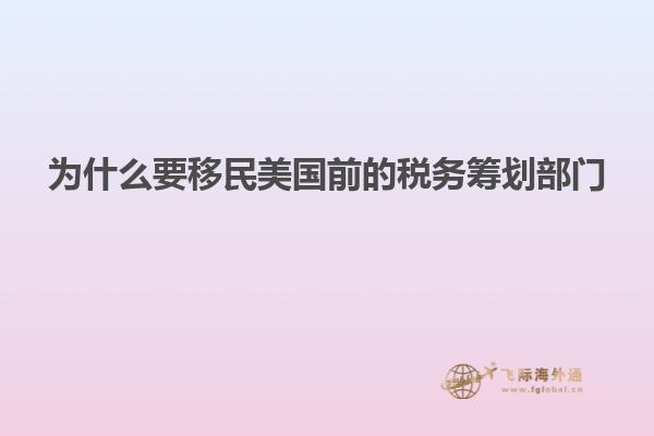 为什么要移民美国前的税务筹划部门