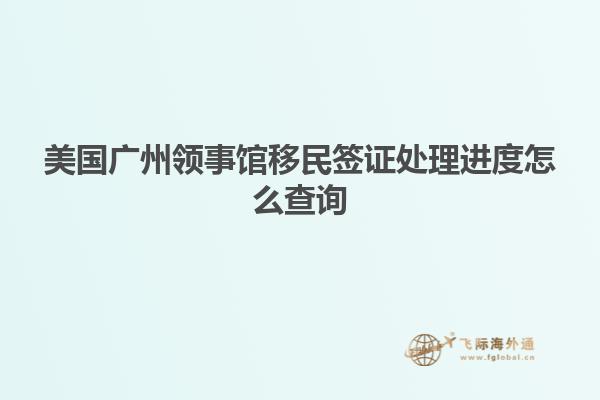 美国广州领事馆移民签证处理进度怎么查询