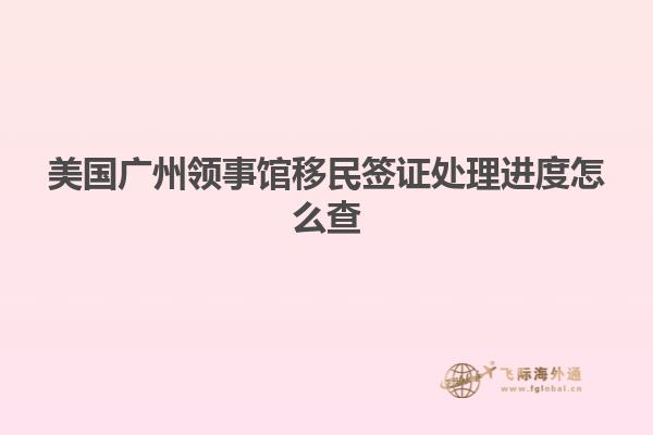 美国广州领事馆移民签证处理进度怎么查